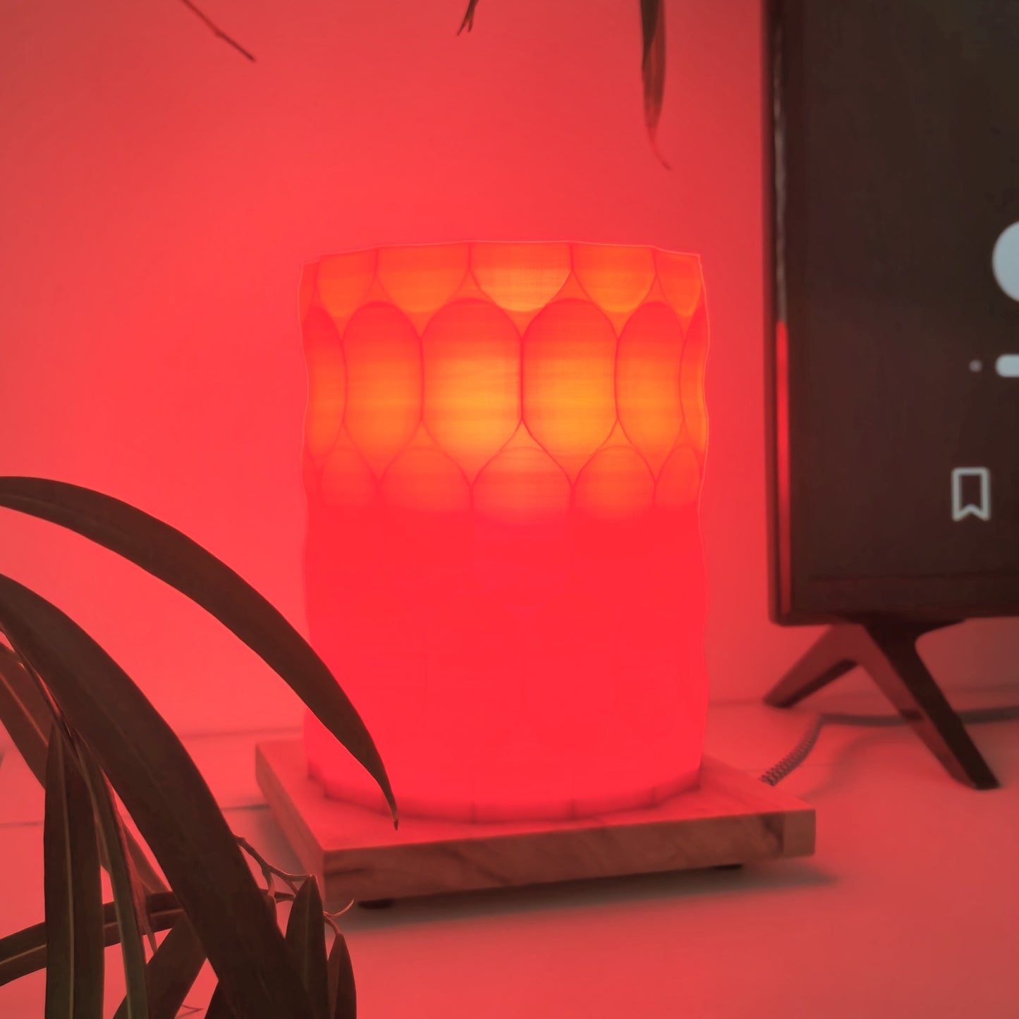 Solumia »Disco Poppy Red«
